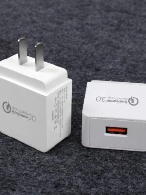 Fast Charge Charger